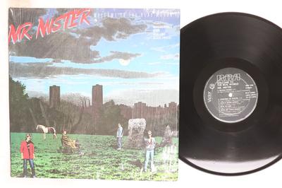 Disco LP MR. MISTER Benvenuto Nel Mondo Reale RCA31001 RCA Rock Filippino Usato