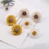 925 Autumn And Winter Colored Plush Woven Flower Earrings, Small Temperament And Fresh Mori Braided Daisy Stud Earrings