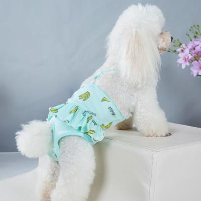 Punkte Haustier Hund Shorts Windel Sanitär Physiologische Hosen Welpen Overall Sanitär Slip Höschen Menstruation Unterwäsche Slips
