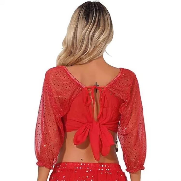 Damen Bauchtanz Kostüm Bauchtanz Münz Top Bauchtanz Crop Top Halloween Auftritt Kostüm Bauchtanz Outfit