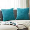 Pack of 2 Velvet Soft Solid Decorative Throw Pillow Covers Set with Texture Luxury Scissors Square Cushion Cases for Couch Sofa Bedroom Car 18x18 Inch