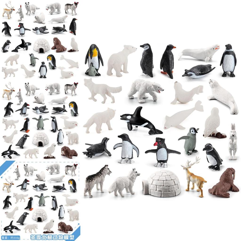 Arctic Animal Pvc Collection With Realistic Marine Land Creatures For Educational Use