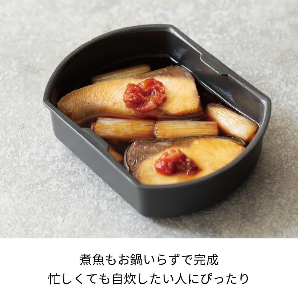 recolte Cooking Rice Cooker RCR-2 (Gray)