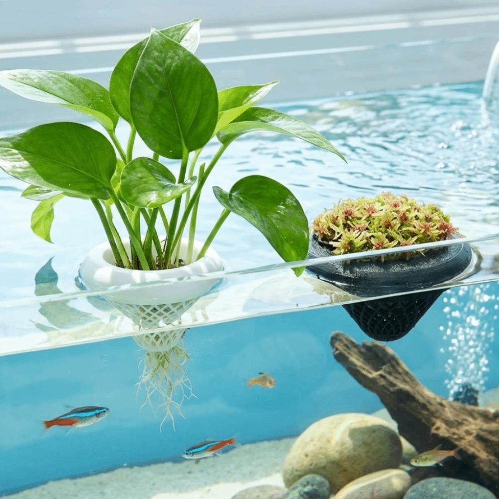 3D Printed Floating Aquarium Planting Basket Fish Plant Symbiosis Planter  Hydroponic System
