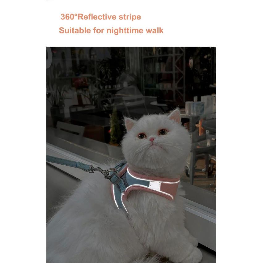 Cat Dog Noctilucent Harness with Lead Leash Adjustable Vest Polyester Mesh Breathable Harnesses Reflect Light Cat Accessories