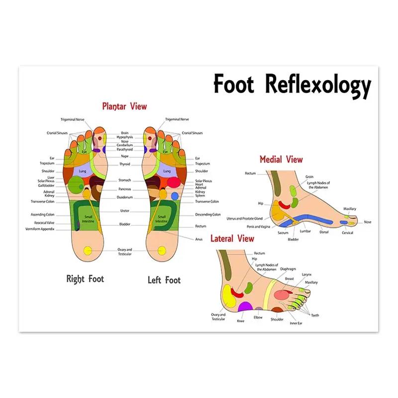 The Body Facial Anatomy Muscle Vessels Detailed Canvas Painting Human Structure Skeleton Education Poster Medical Decoracion