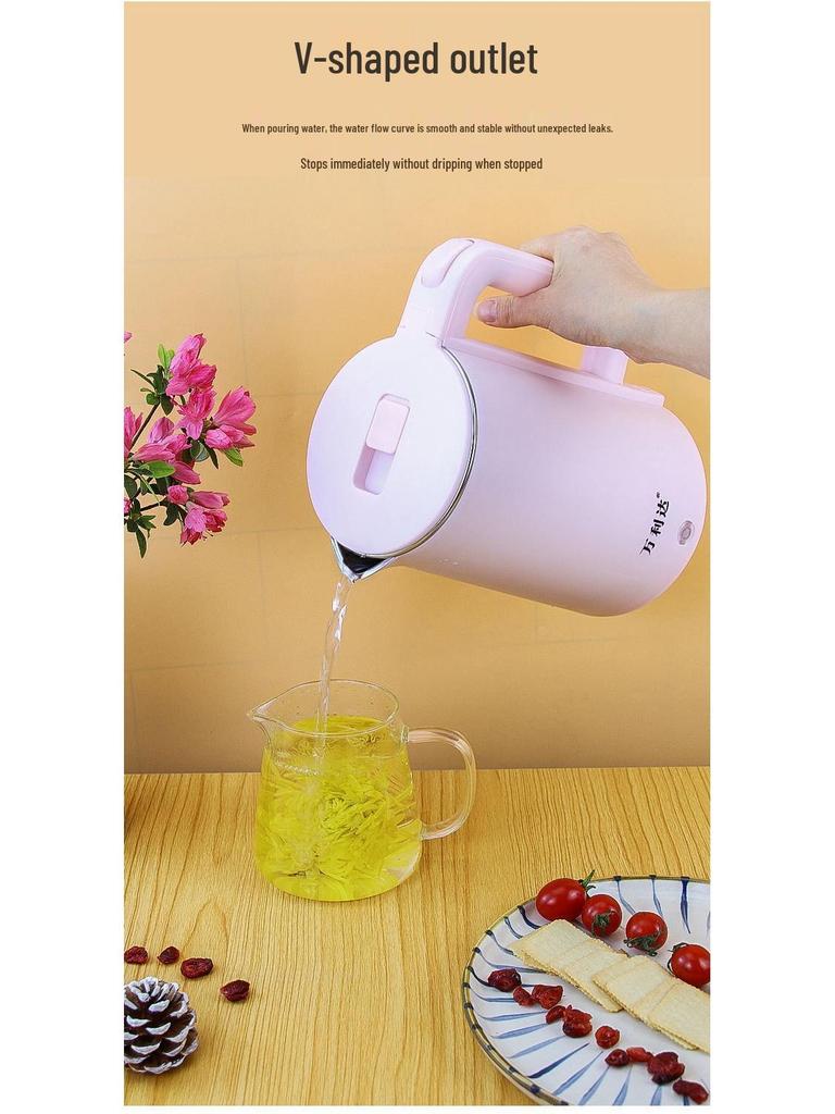 Wanlida Edelstahl Wasserkocher mit automatischer Abschaltung, Ideal für den Heimgebrauch und zum Verschenken