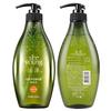 Sapindus Oil Control Lightweight Shampoo