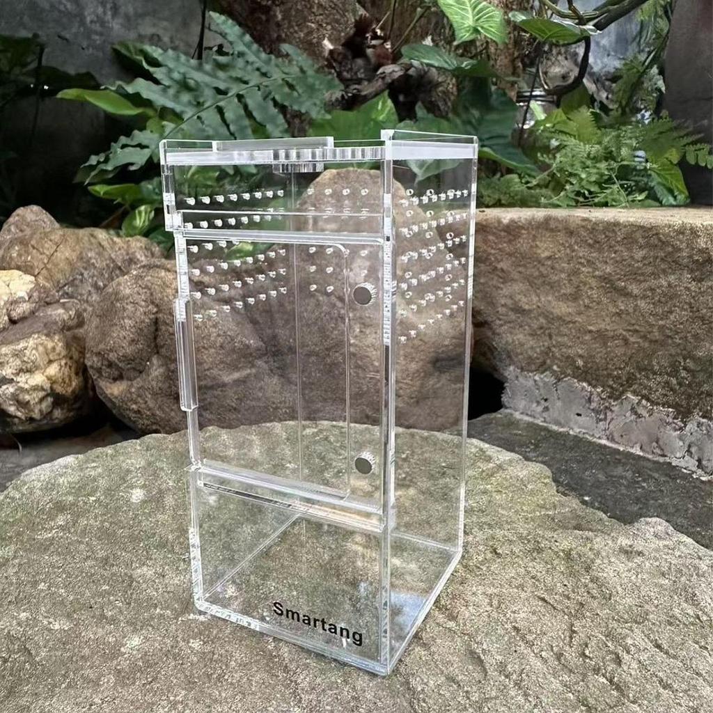 Jumping Enclosure Ventilation Cage Acrylic Terrarium Habitat Accessories for Snake