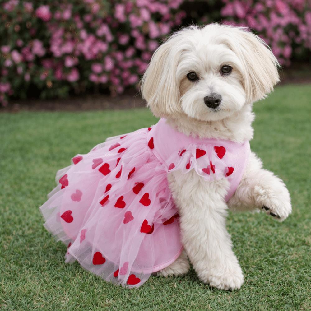 Thin Breathable Dog Summer Vest Heart Printed Puppy Wedding Dress Dog Tulle Skirt  Party Outfits