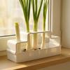 Ventilated Cultivation Pot Plastic Soilless Cultivation Pot  Coriander Planting