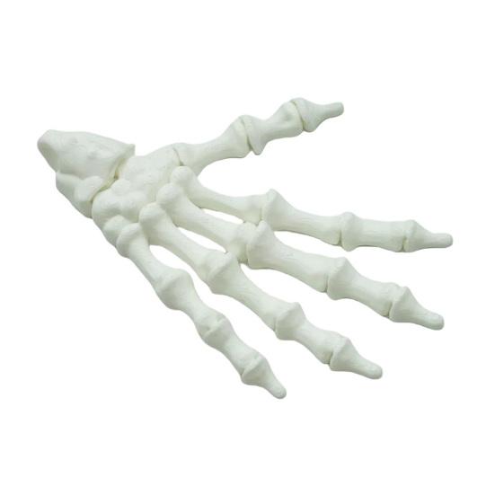 Ghost Hand Decoration Realistic 3D Printed Skeleton Hand Model Haunted House Ornament DIY Project Accent