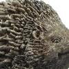 Garden Statues Resin Sculptures Animal Figurines Lawn Office