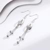 Korean Version Ins Water Drop Fringed Earrings Women's Niche Design Sense Fashion Temperament Long Earrings