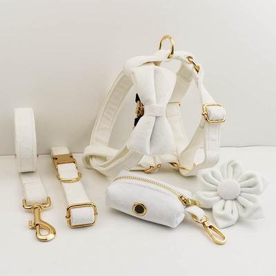 Ensemble Collier et Laisse en Velours Blanc pour Chiens Petits Moyens Grands Plaque d'Identification Gravée Personnalisée Fournitures pour Animaux Laisse pour Chien Velours 38