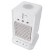 Portable Air Conditioner Multifunctional 3 Levels Oscillating Spray Humidifier Fan Desktop Water