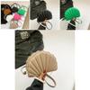 2024 New Spring Fashion Korean Style Chic Shell Bag Women's Casual Shoulder Bag
