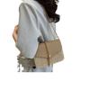 Summer Straw Woven Bag Women's Small Bag 2025 New Fashion Shoulder Woven Chain Foreign Style Messenger Versatile Small Square Bag