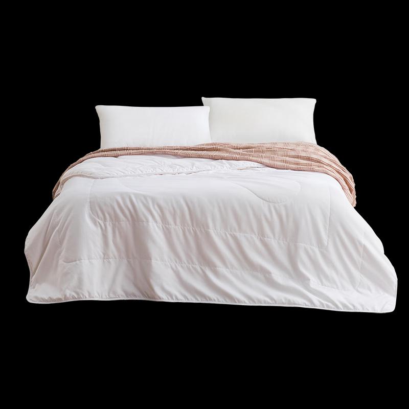 Tussah Silk Spring/Autumn Quilt