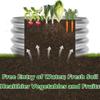 Galvanized Metal Raised Garden Bed Kit | Round Outdoor Planter for Vegetables & Herbs Gardening