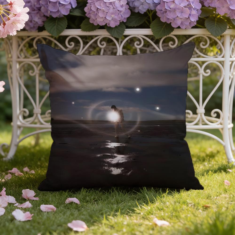 Jeremy singer Z-Zucker Cushion Cover Home & Car Dual-Scene Pillow Cover: Reversible for Premium Comfort