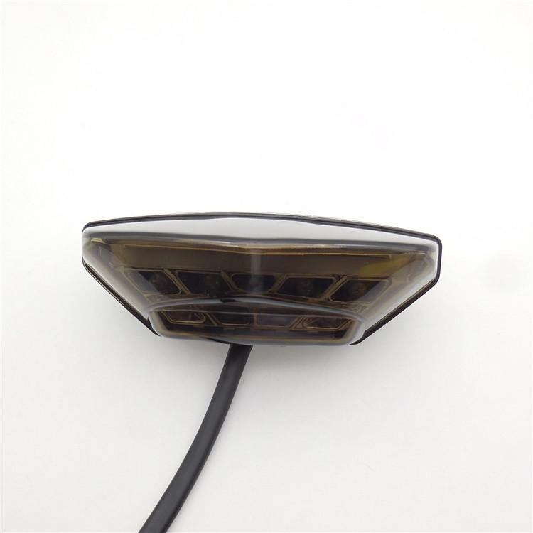 BMW Motorcycle LED Rear Taillight with Integrated Brake and License Plate Light