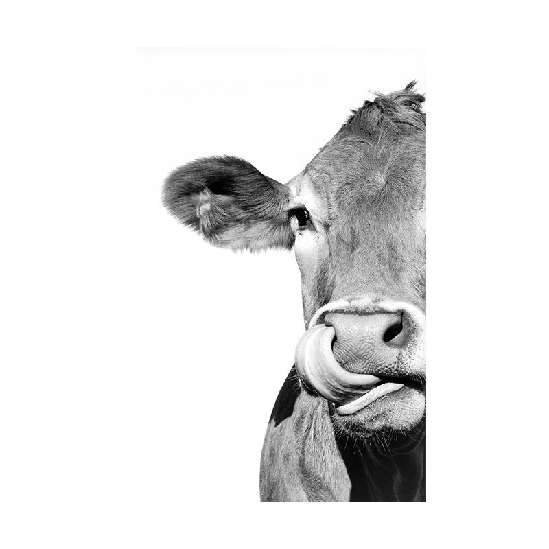 Animal Side Face Portrait Modern Wall Canvas Print Wild Life Art Poster Black and White Photo For Living Room Home Decor Cuadros