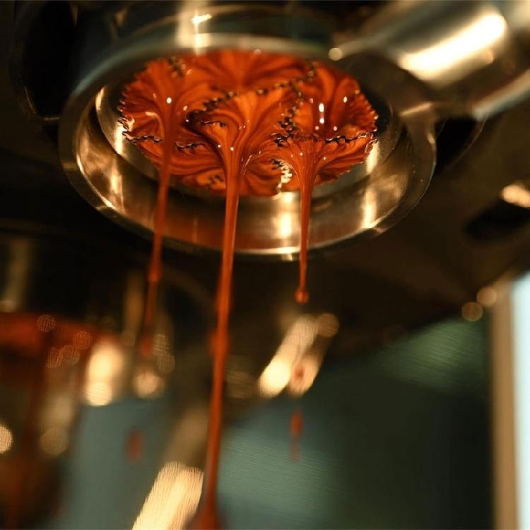 54mm Bottomless Portafilter Stainless Steel Espresso Portafilter with Wall Rack