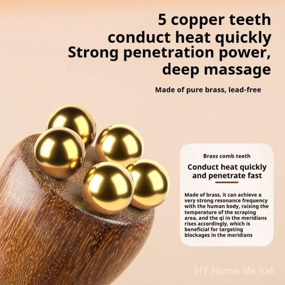 Lotus Pod Eye Massager Roller 5 Teeth Eye Scraping Tendon Stick  for Relieve Facial Fatigue