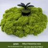 Artificial Moss Turf for Landscaping and Decor