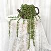 Plastic Artificial Succulent Plants Green Color Faux Succulents Wall Hanging Plants  Home Office
