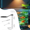 Aquarium Fish Feeder Aquarium Feeder Pipe Directional Telescopic Suction Cup Clear Dispenser For Vacation Shrimp Turtle Feeding