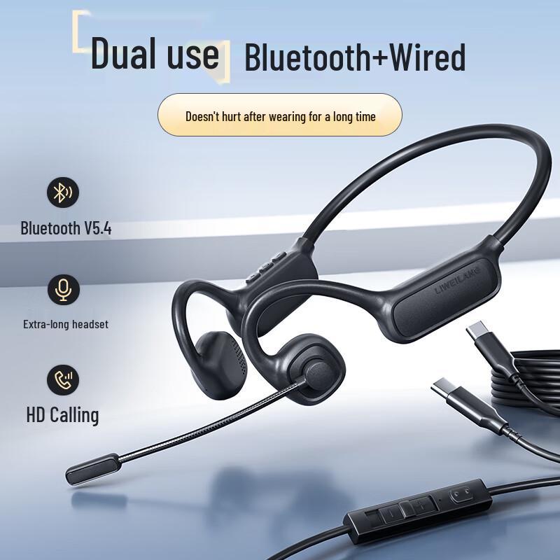 

Liweilang 2025 Open-Ear True Wireless Bluetooth Gaming Headset
