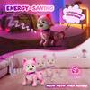 Adorable Remote Control Robot Dancing Cat, Interactive walking Pet Toy for Kids, LED Rechargeable Toys, Girls birthday Gift
