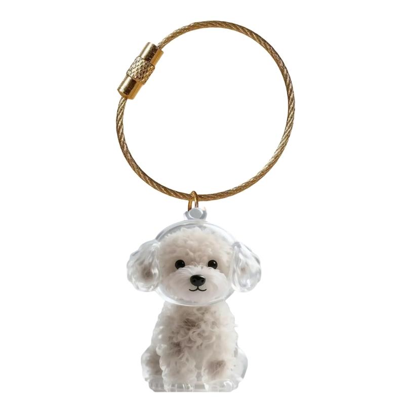 Elegante Chaveiro Memorial para Perda de Animal de Estimação Apresenta Compartimento Visível para Armazenamento de Pelos e Chaveiro Durável para Caixa de Pelos de Animal de Estimação