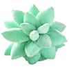 25cm Lifelike Succulent Plants Plush Stuffed Toys Soft Doll Creative Potted Flowers Pillow Chair Cushion for Girls Kids Gift