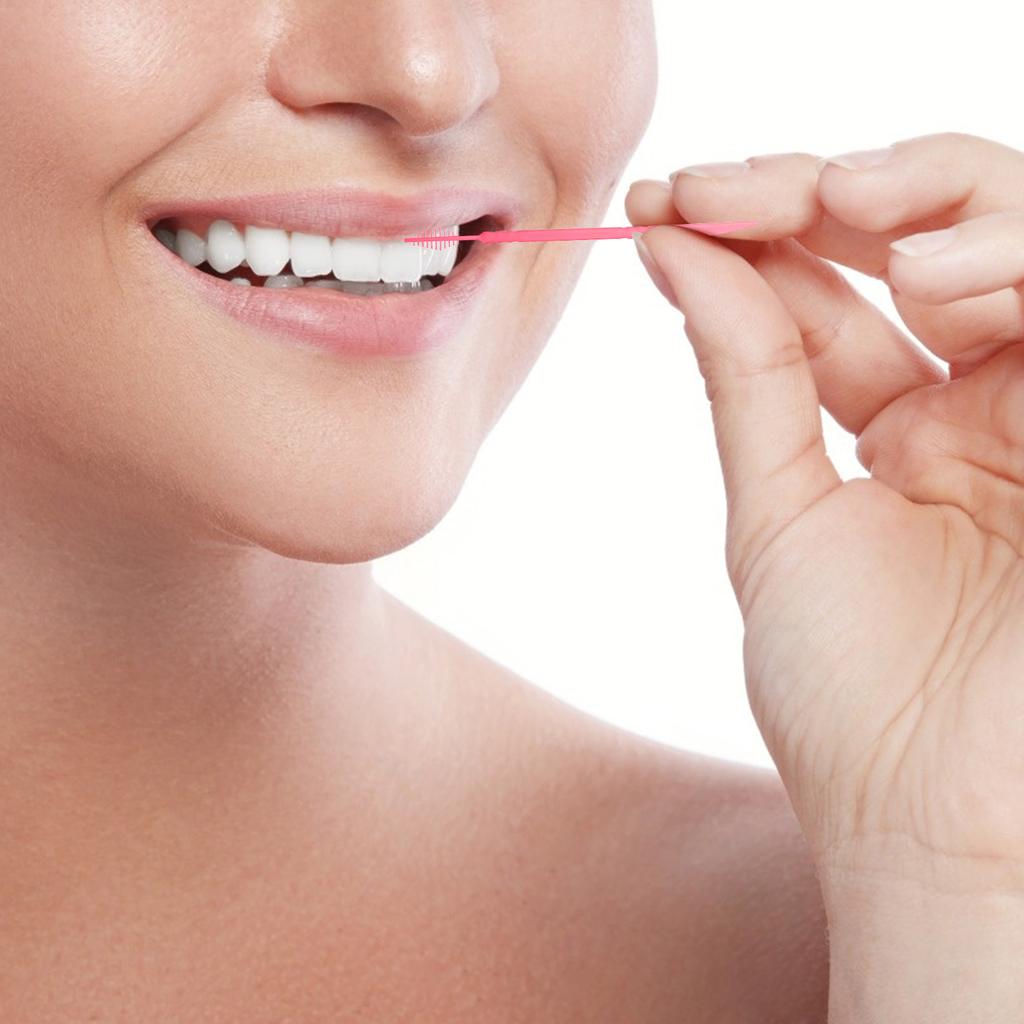Brush Picks for Teeth Toothpick Flossers Oral Care Interdental Toothpicks Travel
