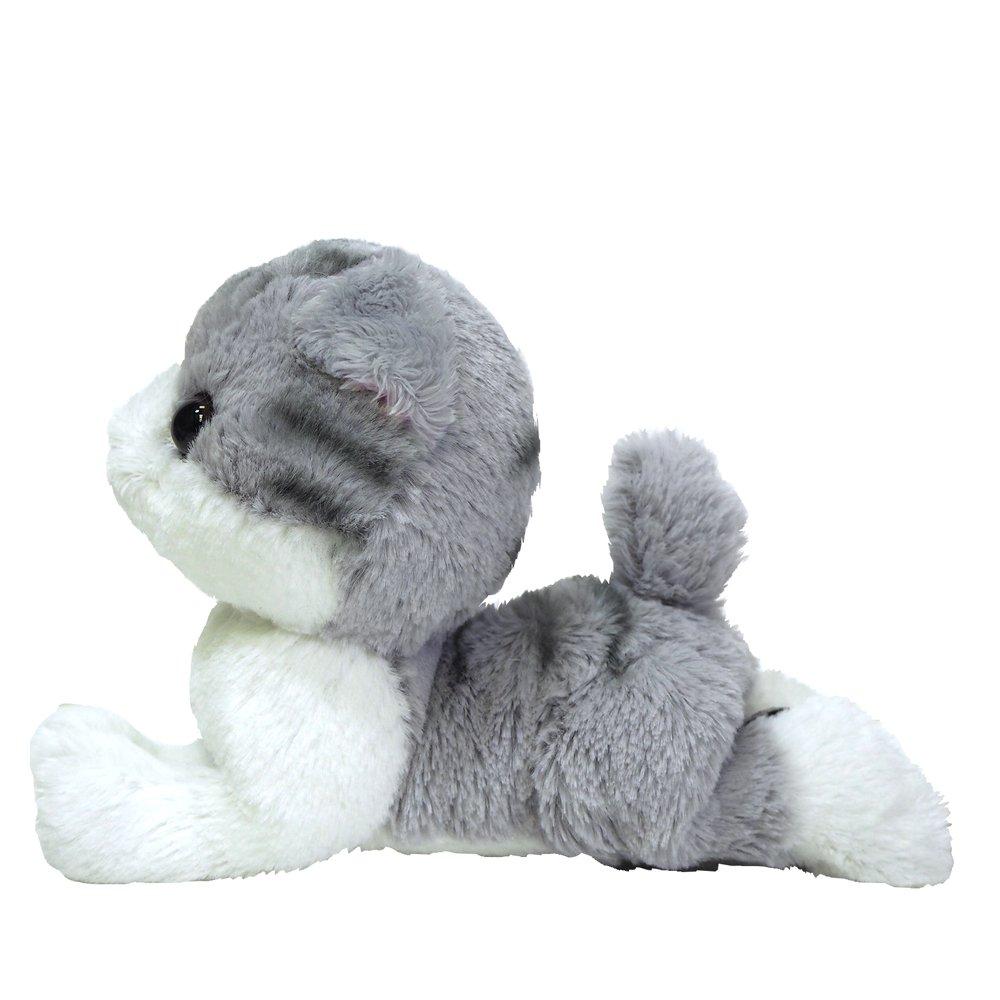Sun Lemon Kitten Scottish Fold Gray X X Cm Stuffed Animal Cat 17.5 8.2 18.6 P-4212