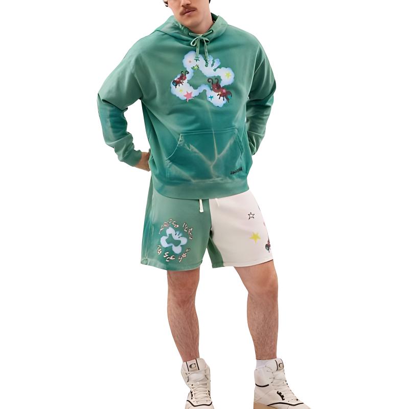 Coach FW23 Washed Hooded Printed Long Sleeve Sweatshirt Unisex sweatshirt Green CN987-GRU