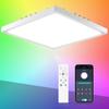 Dimbare LED-taklamper Moderne panellys med bakgrunnsbelysning Fjernkontroll 220V taklampe for hjemmebelysning