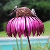Sensation Coneflower Bird Feeder Wild Bird Feeder Gazebo Feeder