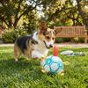 Pet Durable Chew Resistant Ball For Small Medium Dogs And Cats