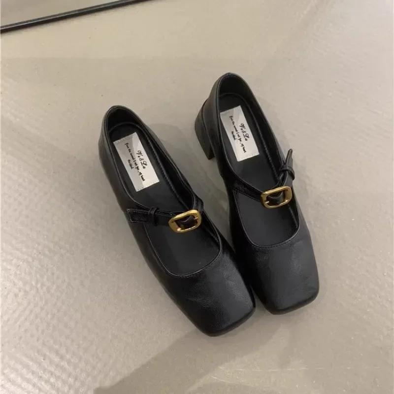 Design Pantofi Unici de Primăvară Toamnă cu Vârf Pătrat, Pantofi cu Toc Gros Stil Stradal pentru Femei, Pantofi Vintage Mary Jane pentru Doamne