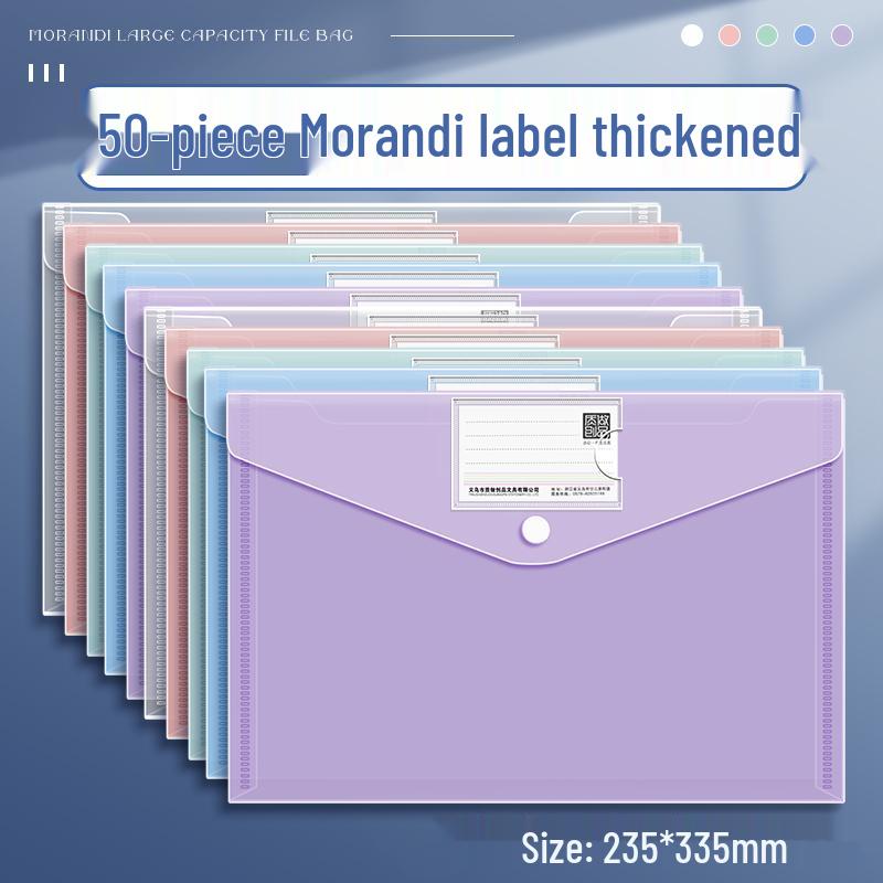 Transparent A4 File Bag, Large Capacity Snap Button, Test Paper & Document Storage for Students