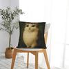 Federa Cuscino Meme Gatto Meowl Gufo Famoso su Internet Quadrata Moderna per Divano Letto Soggiorno