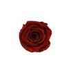 P-1  21 Preserved Roses in a Box Wedding Decor Floral Arrangements Wedding Dried Flower Home Decor Baby Shower Flowers 2~3cm