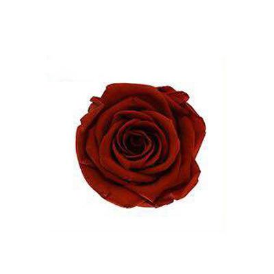 P-1 21 Preserved Roses in a Box Wedding Decor Floral Arrangements Wedding Dried Flower Home Decor Baby Shower Flowers 2~3cm