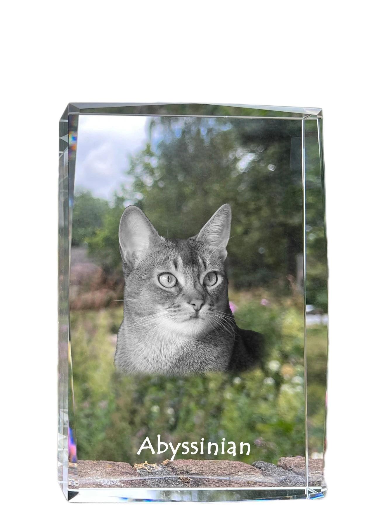 

Abyssinian - crystal with a picture of a cat, photo in glass, modern exhibition of Art-Dog brand photo