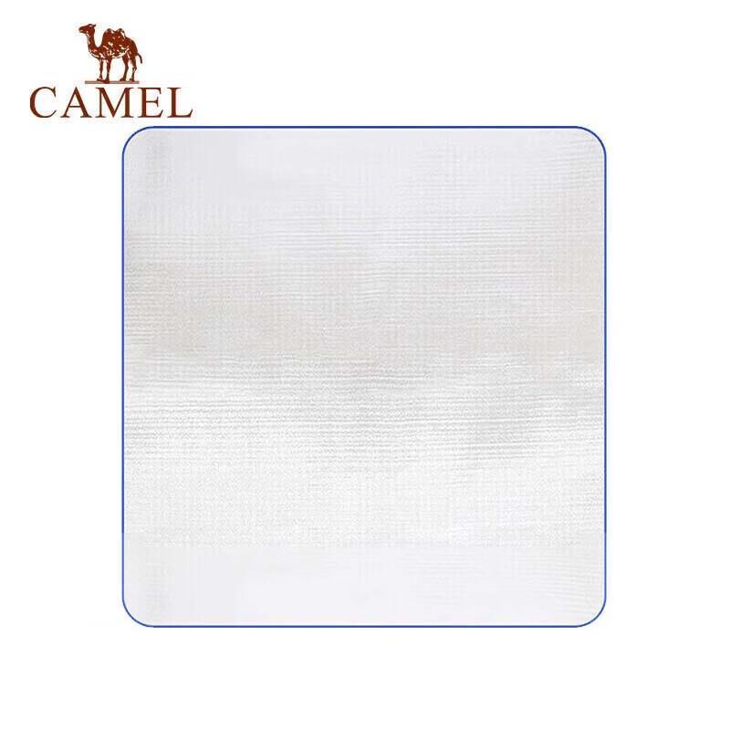 CAMEL Outdoor Waterproof Picnic Mat One Size