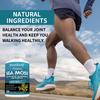 Doplněk stravy z mořské řasy, s práškem z bio chaluhy bublinaté, 120 kapslí v lahvičce